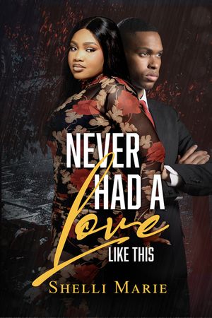 Never Had a Love Like This image number 0