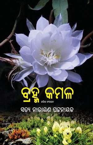 Brahma Kamal image number 0