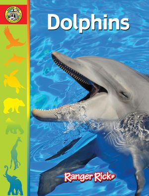 Dolphins image number 0