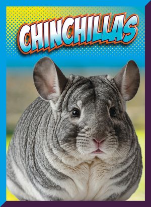 Chinchillas image number 0