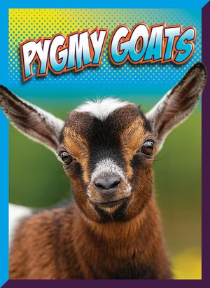 Pygmy Goats image number 0