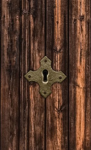 Discrete Password Logbook: "Locked Door" Edition image number 0