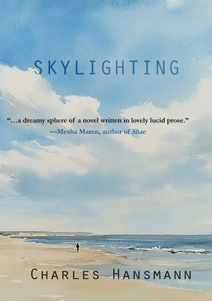 Skylighting image number 0