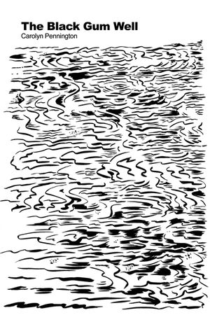 The Black Gum Well image number 0
