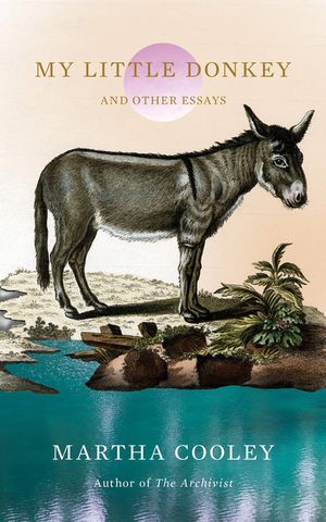 My Little Donkey: And Other Essays image number 0