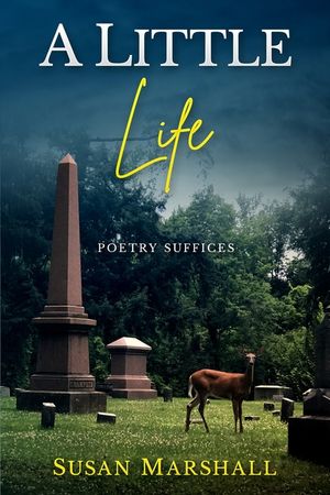 A Little Life image number 0
