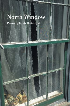 North Window image number 0