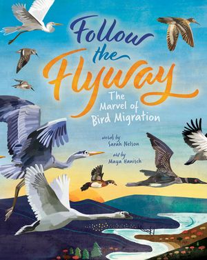 Follow the Flyway: The Marvel of Bird Migration image number 0