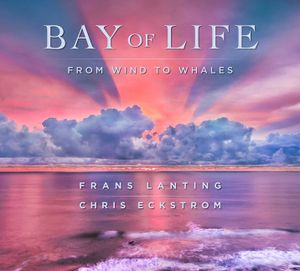 Bay of Life: From Wind to Whales image number 0