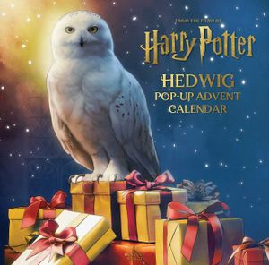Harry Potter: Hedwig Pop-Up Advent Calendar image number 0