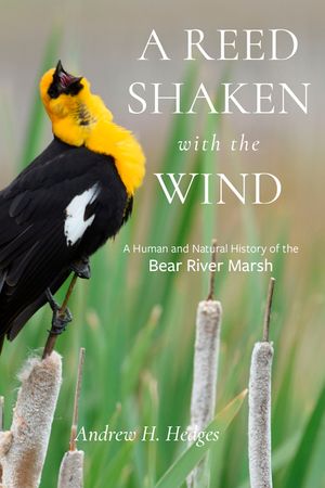 A Reed Shaken with the Wind: A Human and Natural History of the Bear River Marsh image number 0