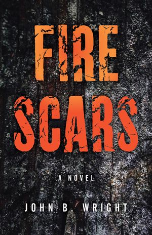 Fire Scars image number 0