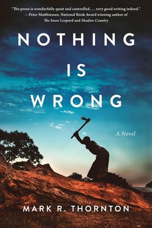 Nothing Is Wrong image number 0
