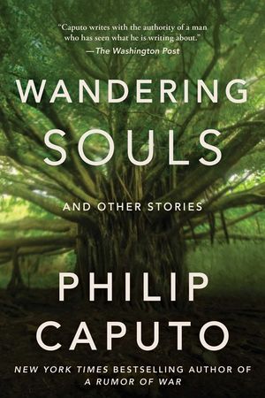 Wandering Souls: And Other Stories image number 0