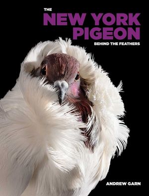 The New York Pigeon image number 0