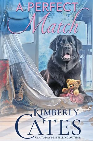 A Perfect Match image number 0