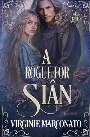 A Rogue for Si&acirc;n image number 0