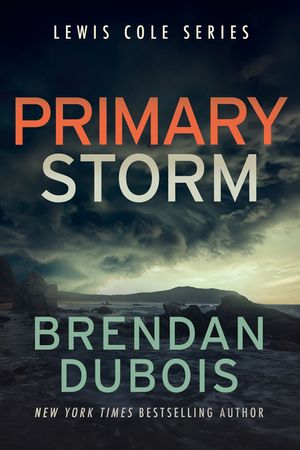 Primary Storm image number 0