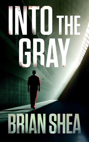 Into the Gray image number 0