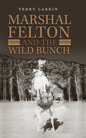 Marshal Felton and the Wild Bunch image number 0