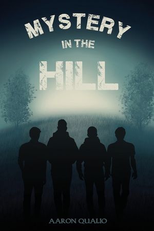 Mystery in the Hill image number 0