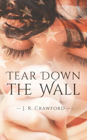 Tear Down the Wall image number 0