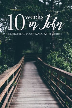 10 Weeks in John: Bible Study image number 0