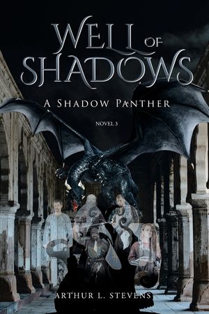 Well of Shadows: A Shadow Panther Novel 3 image number 0
