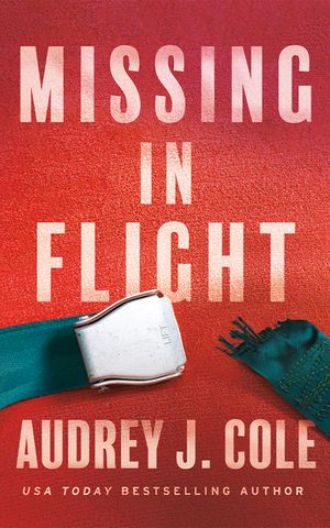 Missing In-Flight image number 0
