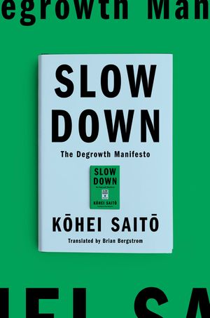 Slow Down: The Deceleration Manifesto image number 0