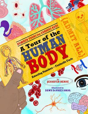 A Tour of the Human Body: Amazing Numbers--Fantastic Facts image number 0