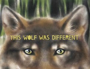This Wolf Was Different image number 0
