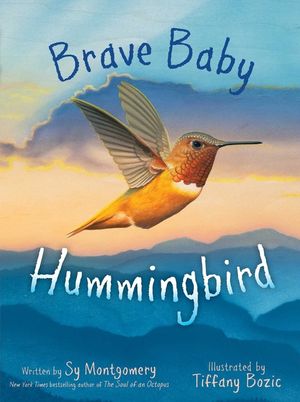 Brave Baby Hummingbird image number 0