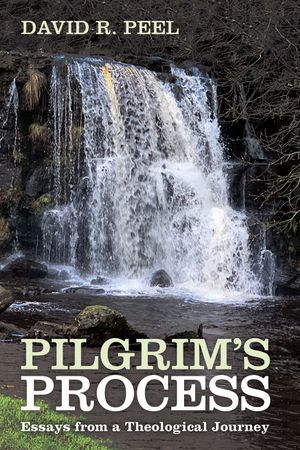 Pilgrim's Process image number 0