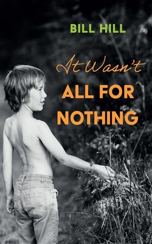 It Wasn't All for Nothing image number 0