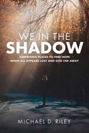 We in the Shadow: Surprising Places to Find Hope When All Appears Lost and God Far Away image number 0