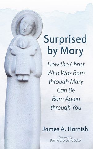 Surprised by Mary image number 0