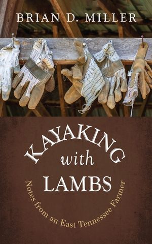 Kayaking with Lambs image number 0