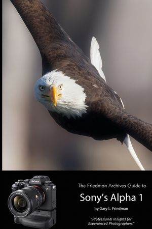 The Friedman Archives Guide to Sony's Alpha 1 (B&W Edition) image number 0