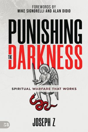 Punishing the Darkness: Spiritual Warfare That Works image number 0
