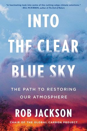 Into the Clear Blue Sky: The Path to Restoring Our Atmosphere image number 0
