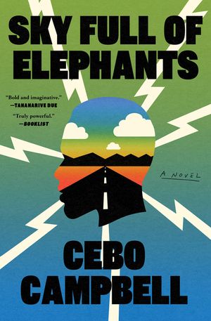 Sky Full of Elephants image number 0