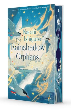 The Rainshadow Orphans: The Rainshadow Series, Book One image number 0