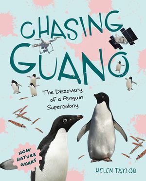 Chasing Guano: The Discovery of a Penguin Supercolony image number 0
