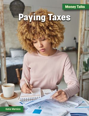 Paying Taxes image number 0