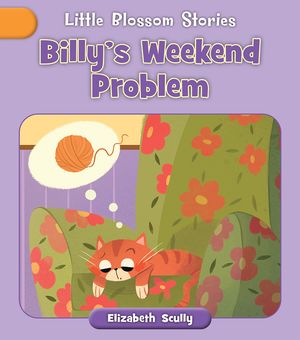 Billy's Weekend Problem image number 0