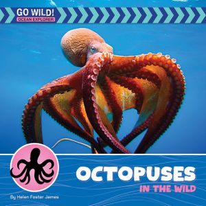Octopuses in the Wild image number 0