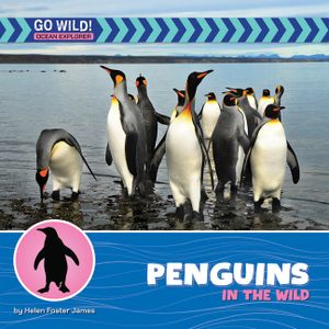 Penguins in the Wild image number 0