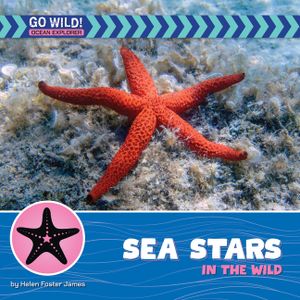 Sea Stars in the Wild image number 0