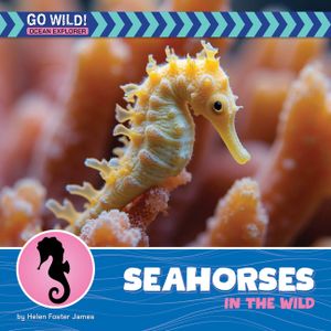 Sea Horses in the Wild image number 0